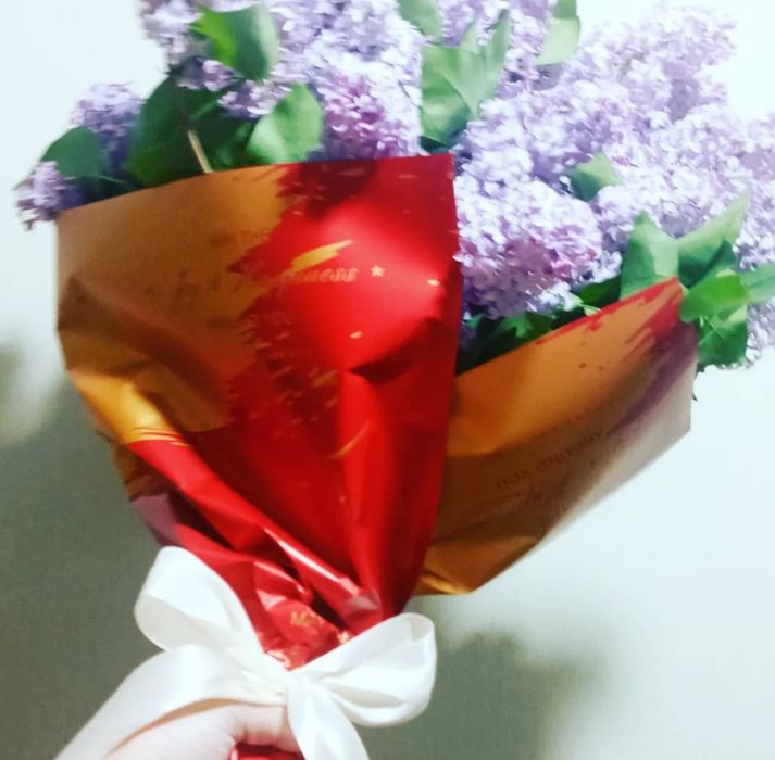 Сирень 1 ветка 500 тг