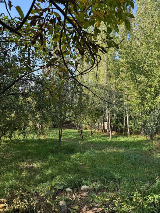 Ер сотилади