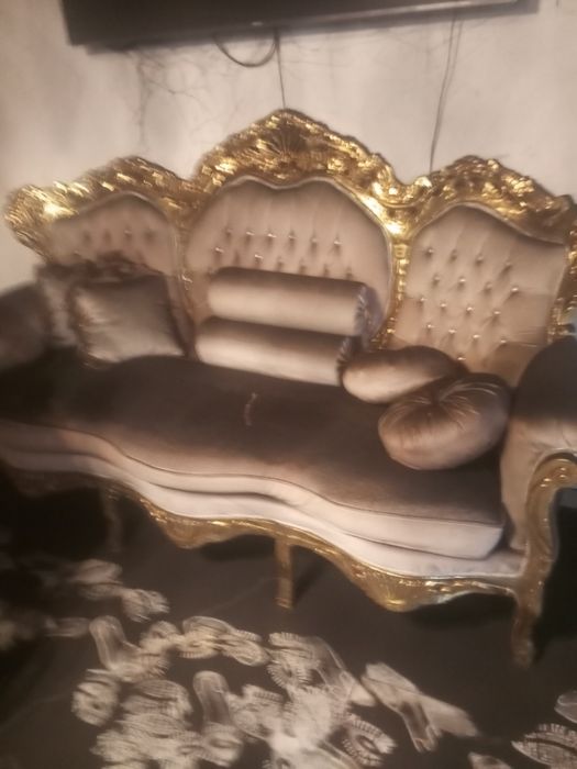 Gata cu petele de pe Canapea