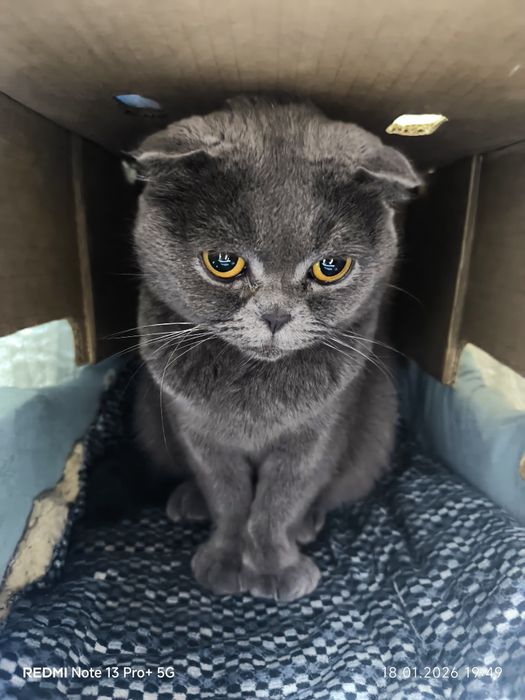 Зотлий Мушук! эрка ва аёл 2 таси 140$