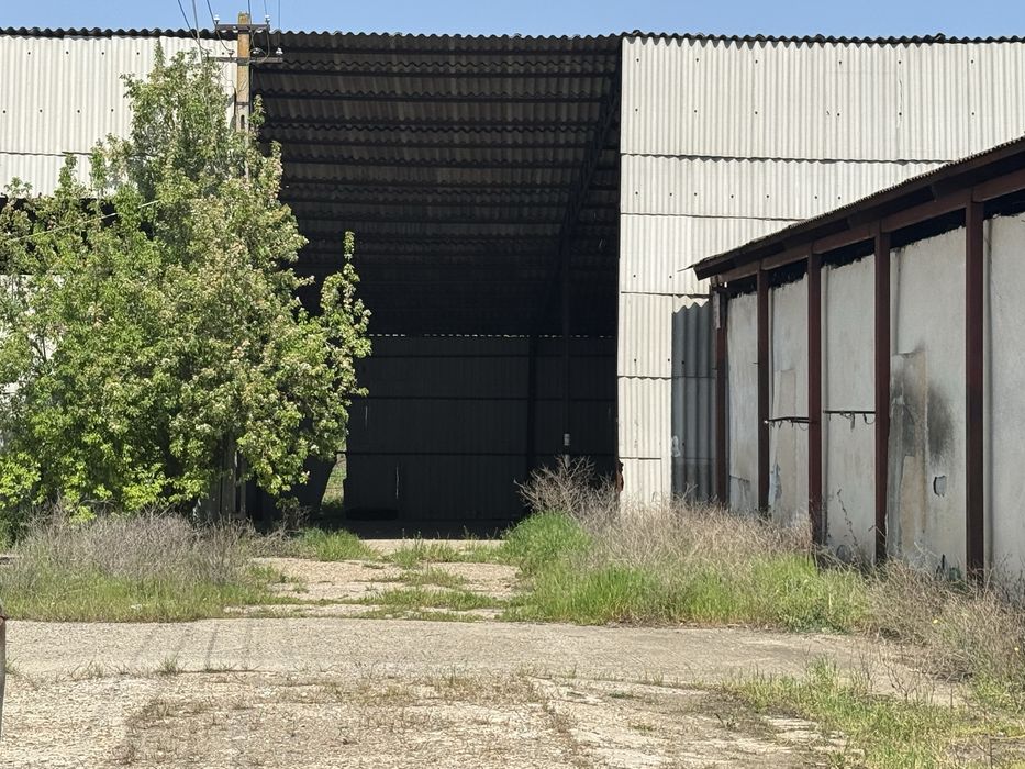 Fermă-Bază- depozit cereale- de vanzare- Barlad- Banca - Vaslui