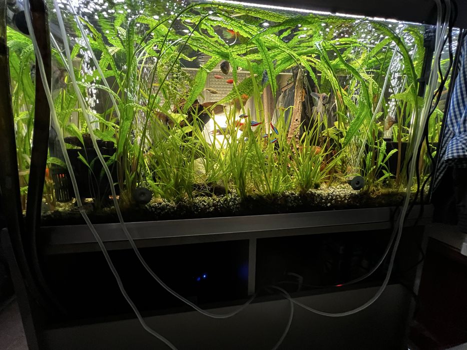 Аквариум Eheim 250 литра с външен филтър