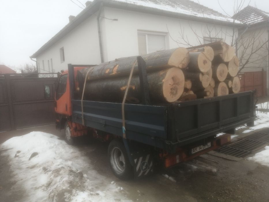 Lemn de foc fag la 3 m lungime