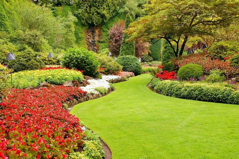 Садовник профсиналной подход к растений цветов дерева ёлок  газонов