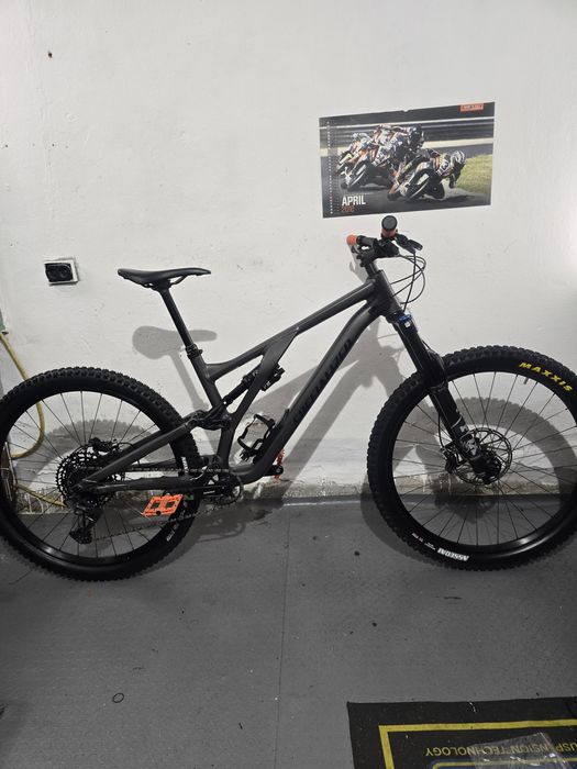 Specialized Stumpjumper evo 29 S5  FOX 36
