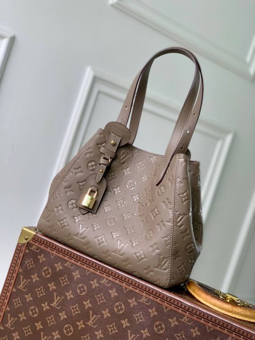 Geanta Louis Vuitton All in One