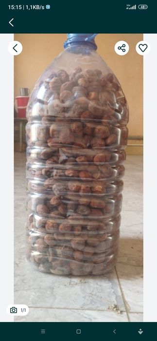 КурСодик(Субхони) гулин сотилади нархи 20 минг