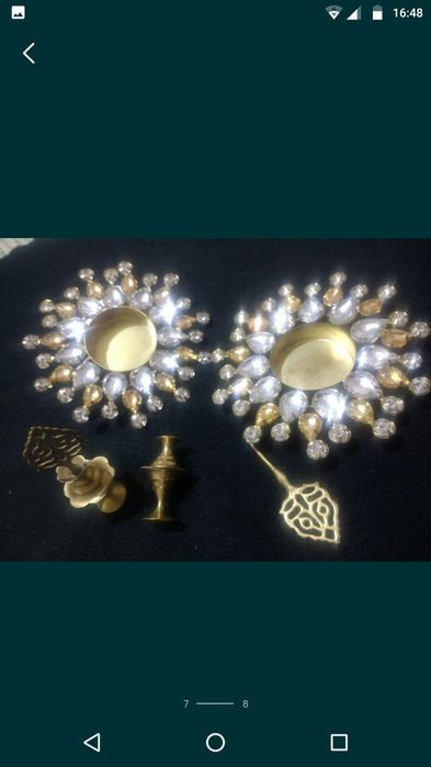 Шамдон индийский тошли