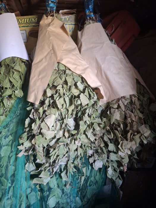 Веники берёзовые