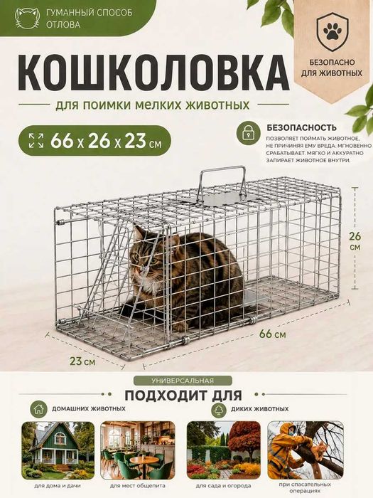 Аренда средней кошколовки — гуманная ловушка для кошек | Ташкент