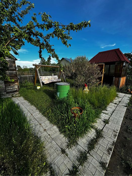 Продам дачу( Дружба)