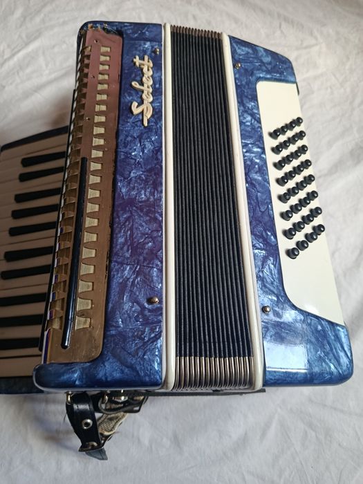 Acordeon Select Timis