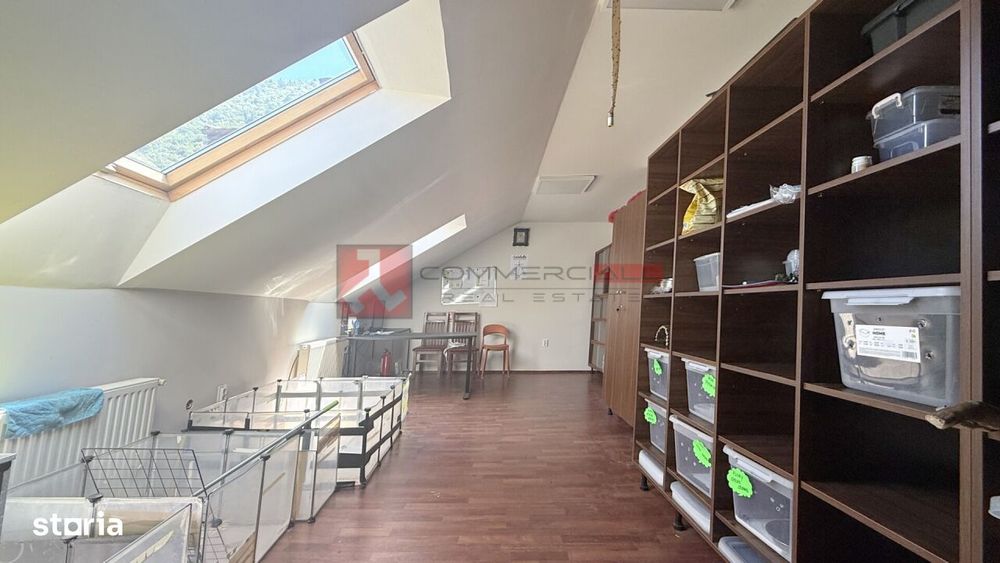 Spatiu Comercial 250 Mp | Centrul Istoric