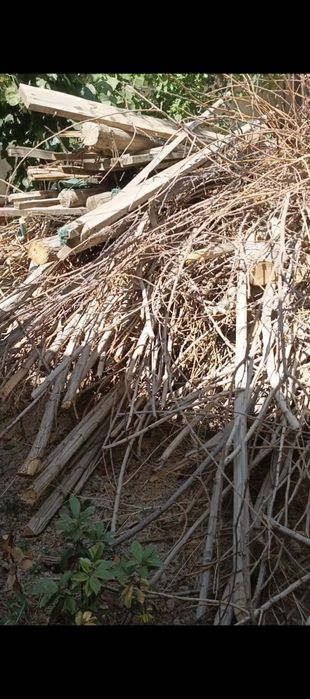 Otin tekinga bervoraman