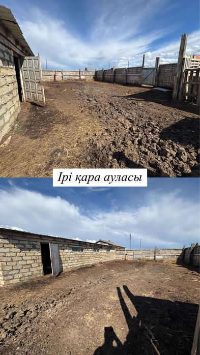 Ауылда Үй малымен сатамын!!