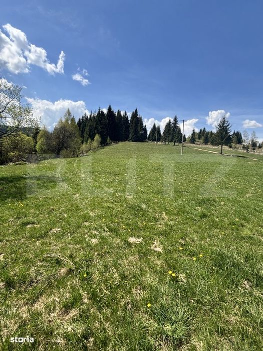 Teren in Vatra Dornei, str Rosu, 8450 mp, extravilan + intravilan