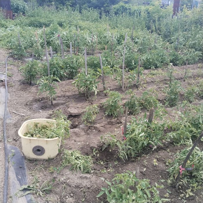 Продам дачу на Черёмушки