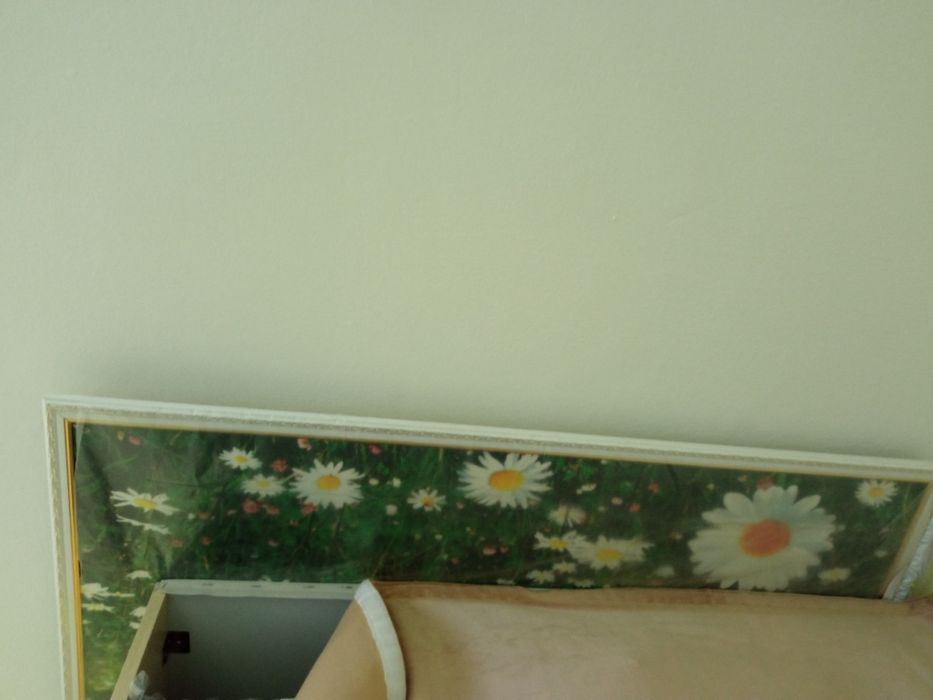 Большая картина ромашки