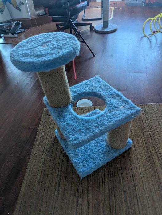 Когтеточка для котят