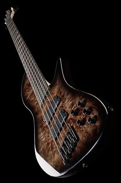 Chitara bass Harley Benton FanFret-5B Black Burl DLX