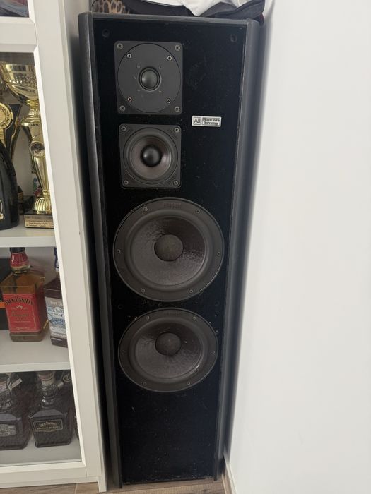 Boxe Magnat MSP300