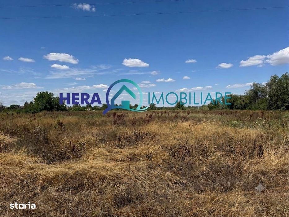 Teren intravilan 10000 mp acces la drumul principal Vladimirescu