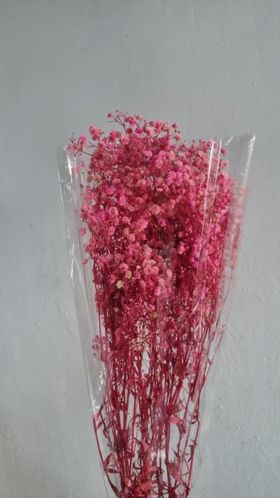 Сухоцветы / Гипсофилы букет