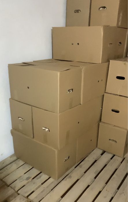 Инкубационные яйца Бройлер