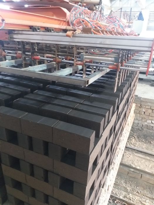 Пишган гишт ва хом гишт махсулотлари