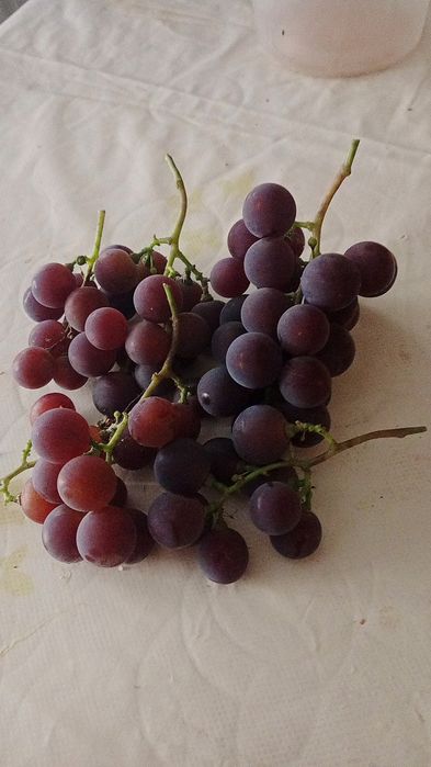 Продам обалденный розовый виноград..