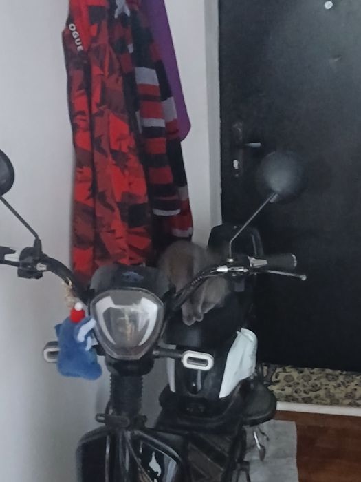 Скутер леопард 2025