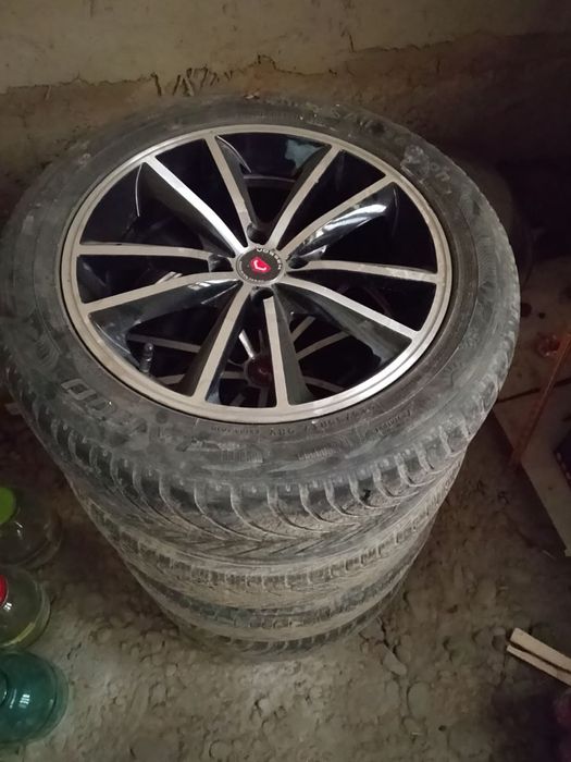 Vossen saka 17 razmer