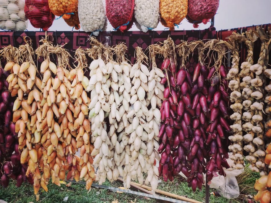 Vand ceapa de apa de Buzau