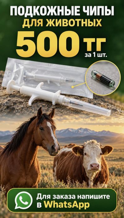 Чип для животных по 500тг