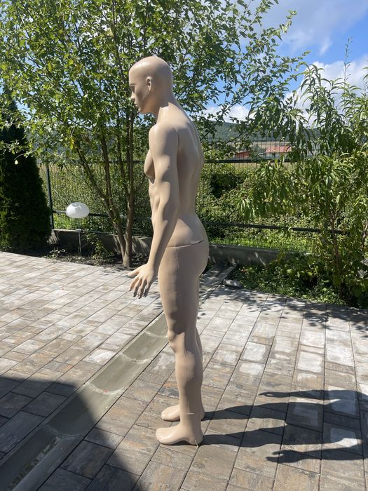Manechin masculin barbat