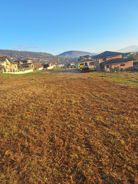 Curațăm pășuni și terenuri împădurite