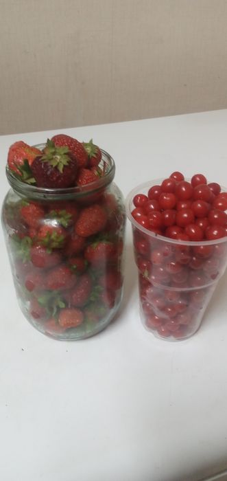 Продам  сливу сладкие