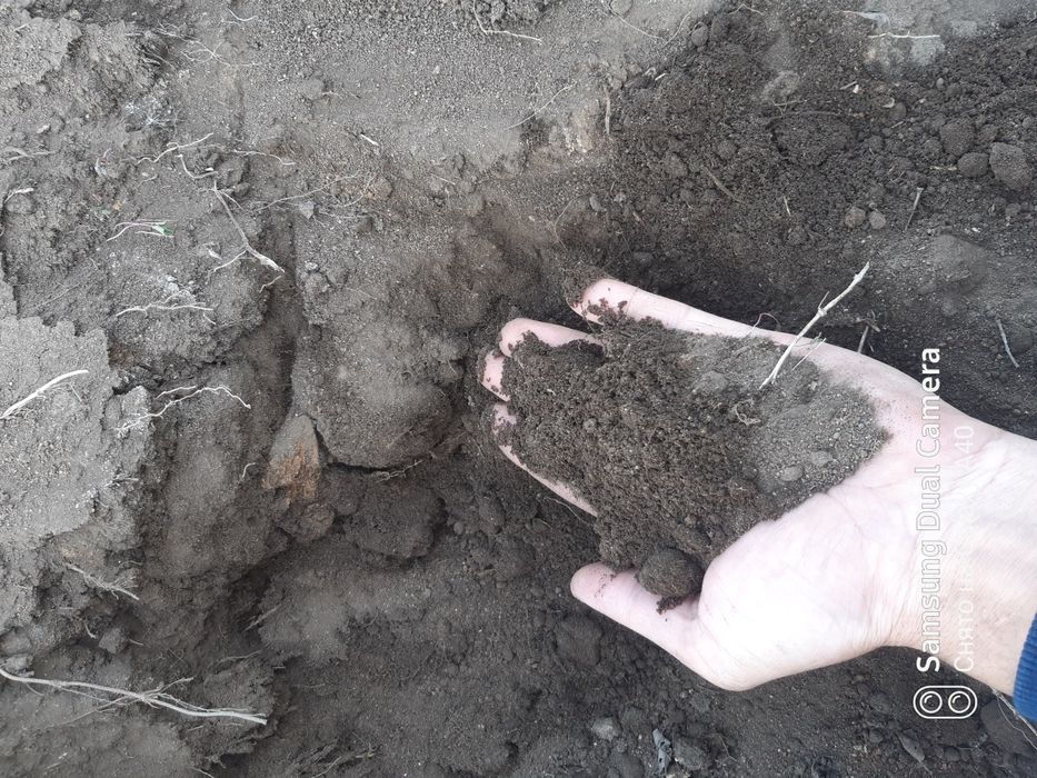 Чернозём отличный