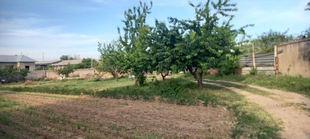 ер сотилади 20 сотик 1 сотиги