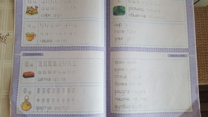 Тетрадь цыпленка. Пропись 5-6 лет.