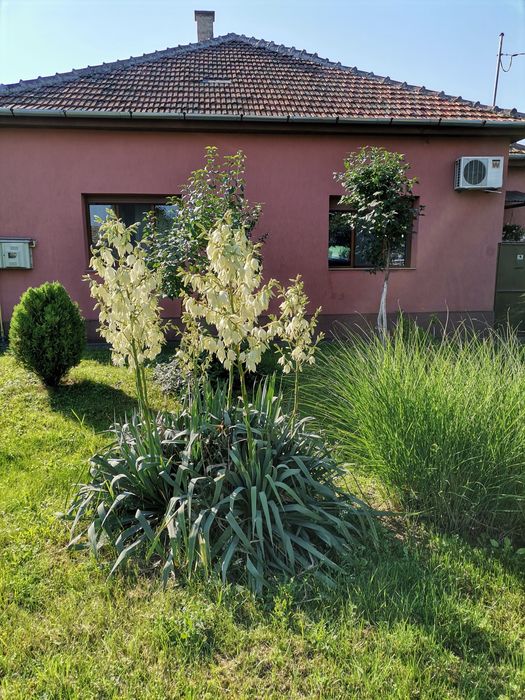 Vând casă în Dumbrăvița