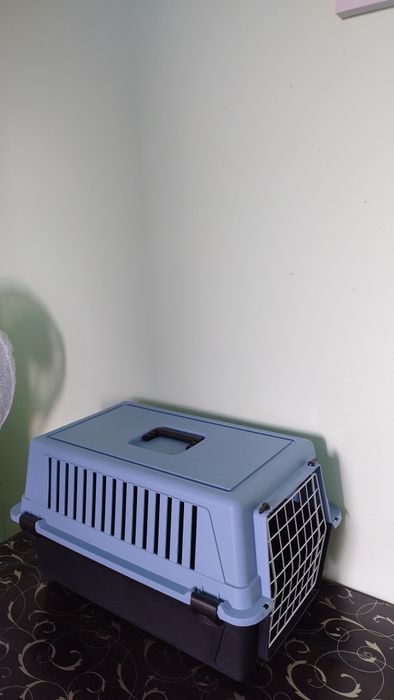 Транспортна кутия за котка