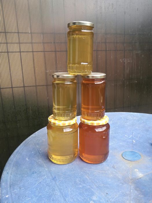 Vând Miere Salcâm și polifloră.