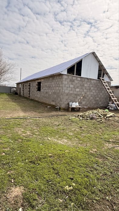 Продам хозяйство