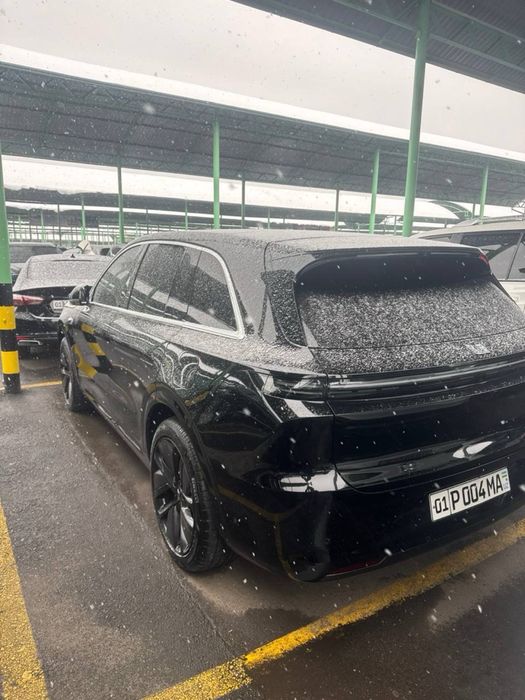 Li 6 max 2024 кора