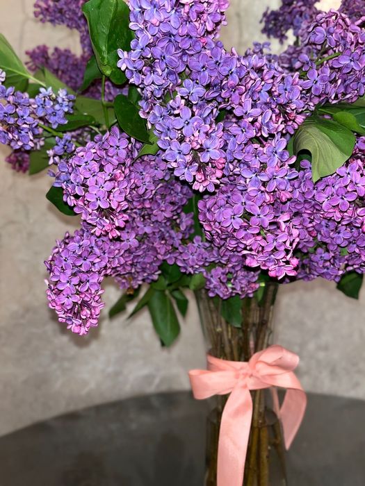 Красивая сирень (8 лет) — пышный цветущий куст 
Продаётся