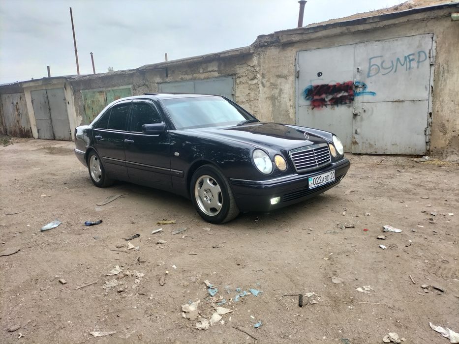 Продам живой Лупарик