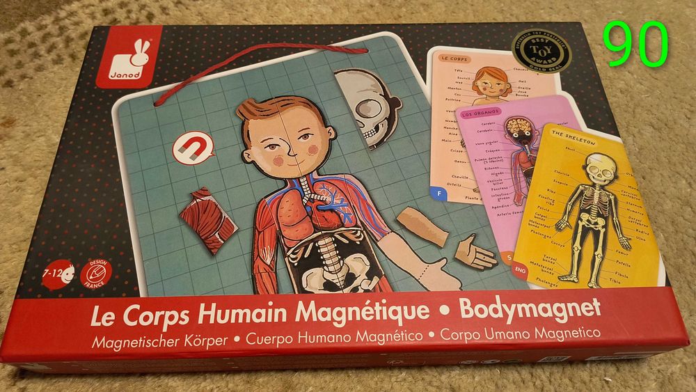 Set jocuri educative: Corpul uman, fractii, magneti