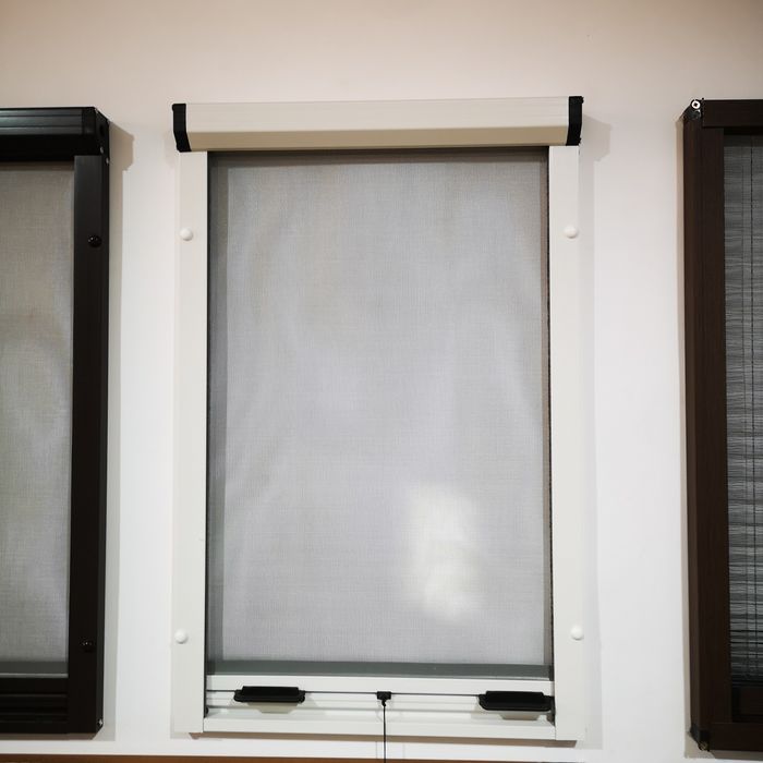 plase insecte plase tantari