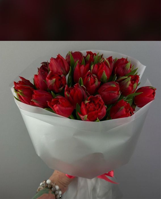 Голландские тюльпаны – только оптом!